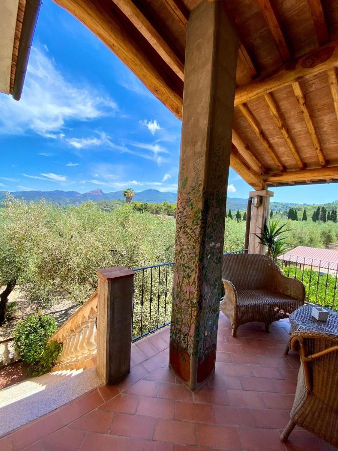 Agriturismo Montefabbrello Magazzini  Exterior foto