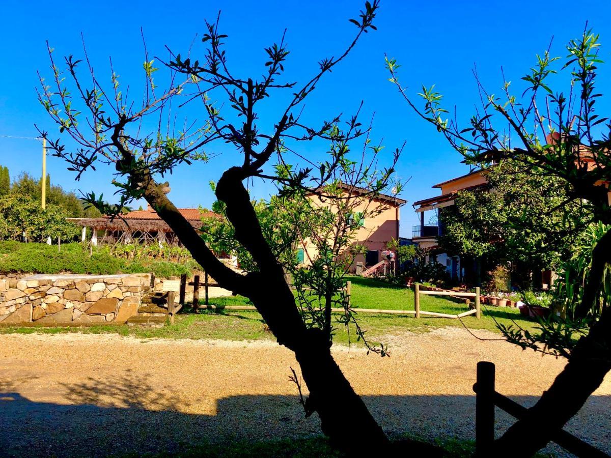Agriturismo Montefabbrello Magazzini  Exterior foto